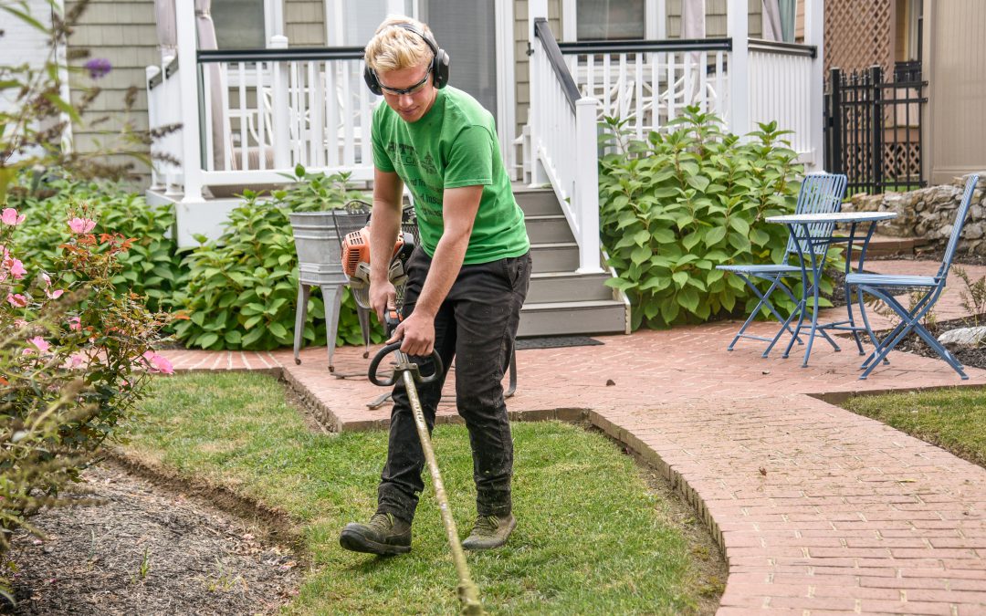 Landscaping Tips from the Pros