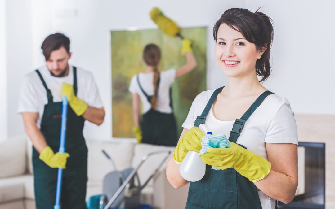 Why a Pro Cleaner is Important for your Home